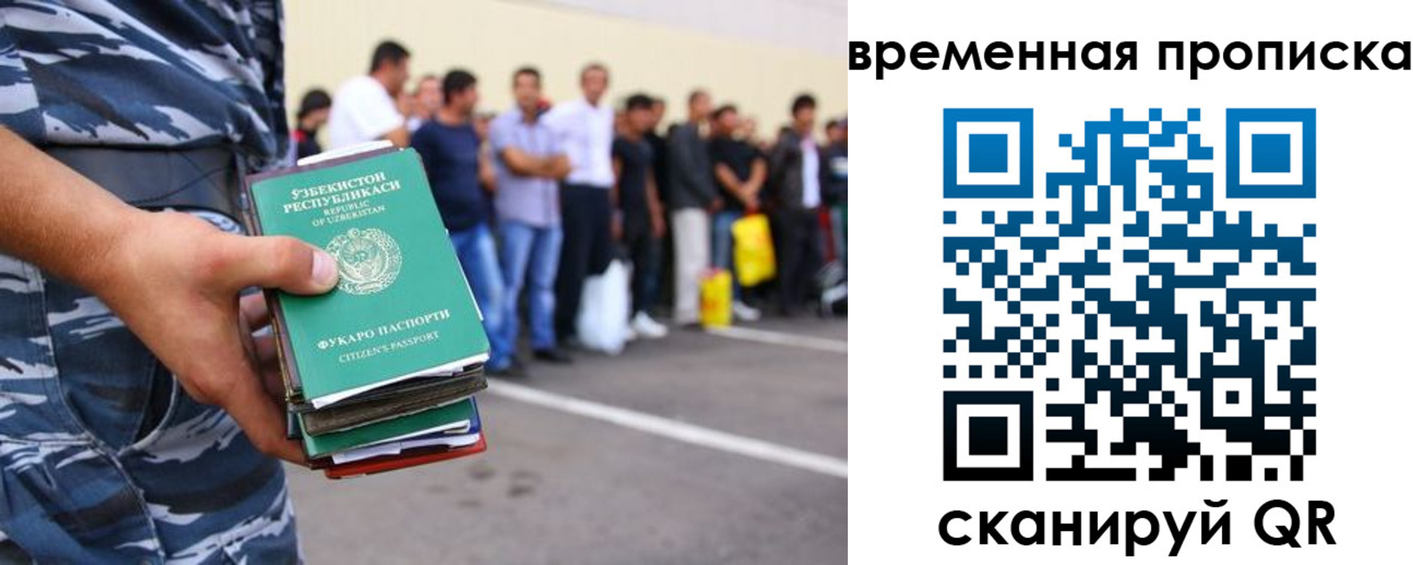 прописка поиск в Волгограде